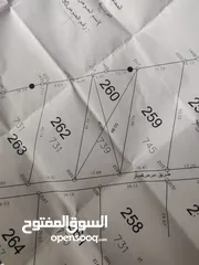  2 قطعة ارض للبيع تصنيف B كوشان طابو