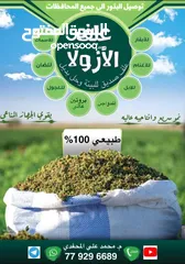  7 علف الازولا يزرع مره وينتج يوميا مدى الحياه للدجاج والمواشي وجميع الحويانات