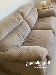  2 كنب دب امريكي للبيع