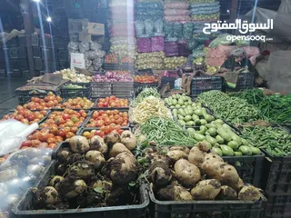  1 محمود الجمل