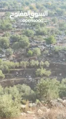  2 القبة الذهبية  اراضي بلعا دير الغصون