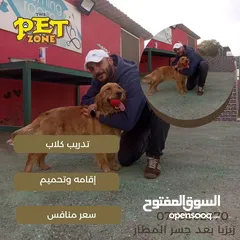  1 فندق بت زون لاقامه الكلاب وتدريبها