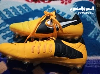  6 made in Italy CTR 360
