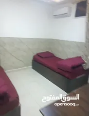  5 شقه مفروشة للايجار الجامعة الاردنية