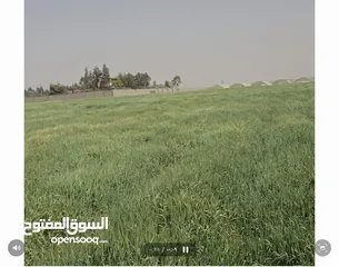  14 للبيع قطعة أرض 3.8 دونم في اللبن القليب قرب مشروع اعمار من المالك مباشره