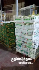  1 مشروع تجاري مربح