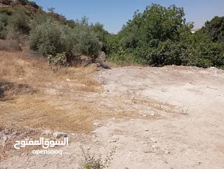  16 ارض مميزة مطلة ابو السوس غرب عمان عدة قطع في المنطقة.