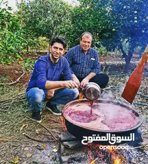  6 شروة دبس رمان بلدي للبيع