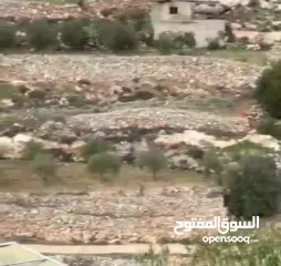  2 ارض للبيع (بسعر مغري)