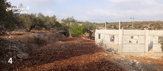  6 قطعة ارض عليها بيت عظم للبيع