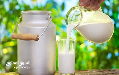  1 حليب بقري طازج لصناعة القشطة و الجبن