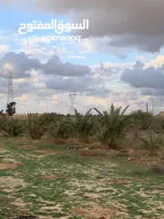  2 مزرعة للبيع. هكتار  في بنغازي. الكويفية