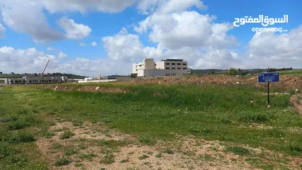  1 Land For Sale In Alyadodeh ( Property 42386 )-174714076