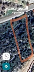  1 قطعة ارض للبيع في صوريف