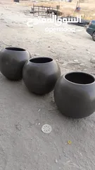  25 قواوير فايبر جلاس بشكل عصري أنيق #قواوير فايبر جلاس  #نباتات زينة ومثمر داخلي وخارجي  #إشراف مهندسين