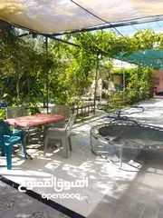  17 شاليه متنزه  استراحة قهوة