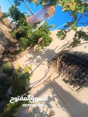  11 بيت مستقل تقريبا مزرعه مشيكه كامله مزروعع عنب وحمضيات مساحه البناء 160م وغرفه خارجيه 40م الواقع احلا