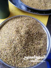  2 غذاء ملكات حبوب لقاح عسل طبيعي