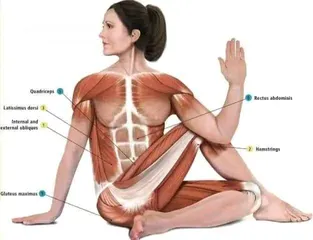  9 مدرب لياقه بدنيه وبناء أجسام ومدرب سباحه