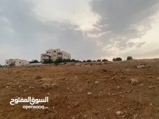  4 ارض للبيع في شفا بدران حوض المقرن