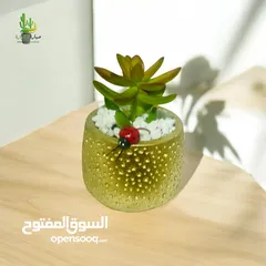  4 توزيعات للمناسبات والهدايا  وقواوير زينة داخل المنزل