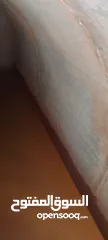 1 خزان 8 متر ابيض 1100