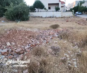  19 قطع سكنيه (سكن ج ) منطقه(عين جنا/ عجلون) وسط البلد،مرتفعه واطلاله جميلة على القلعة واصل جميع الخدمات