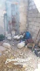  3 فراخ وز للبيع