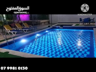  31 مزرعه و شاليه للإيجار اليومي مزارع وشاليهات للايجار يومي أسبوعي شهري في أرقى مكان في الغور تل الروضه