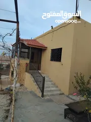  10 بيت للبيع في قريه دليله المطيرات شرق مادبا