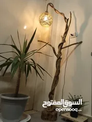  9 قطع من الشجر الطبيعي