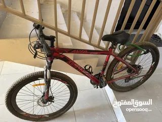  1 MTB AVIA Bicycle