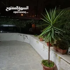  3 شقه مفروشه للايجار في عبدون ( Property 38202 )