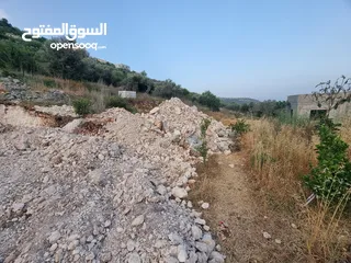  2 رامي ابو عماد