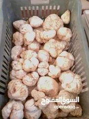  1 اجود انواع الخضر والفواكه