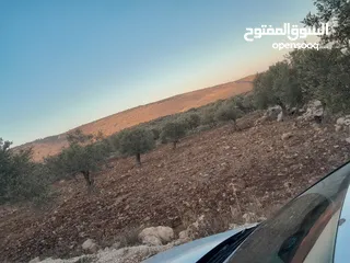  1 ارض البيع موقع  صالح للسكني