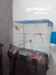  2 كنار للبيع