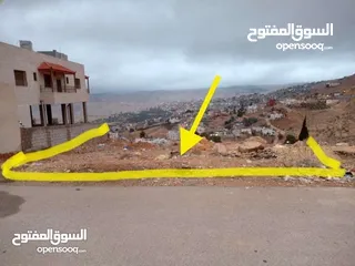  1 دونم ارض للبيع - الطفيلة - حي وادي زيد