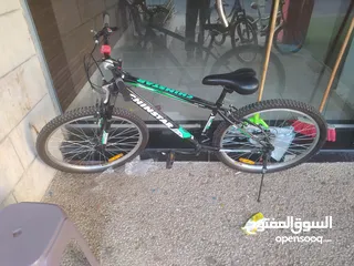  2 chinstar 24 inch j200xr