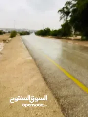  12 ارض مساحة 1600 متر مربع للبيع تصنيف أ في بلدة العوجا الهادئة الجميلة