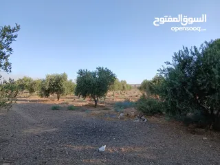  8 مزرعة للبيع ريف دمشق