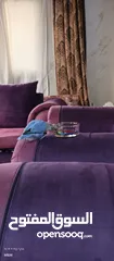  3 روز انثى اليفه طيران حر