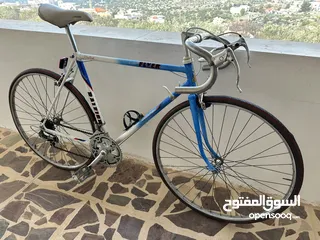  1 بسكليت سبق امريكي