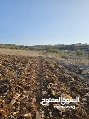  1 نمرتين ارض