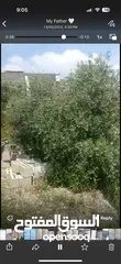  4 ارض للبيع في الخمارة دير الغصون 860 متر