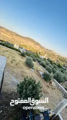 10 ارض + منزل للبيع