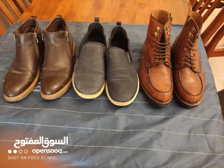  1 42 نمره ايطالي