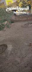  10 منزل مستقل للبيع