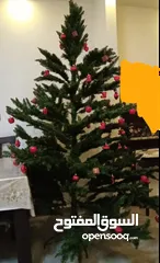  2 شجرة كريسماس طولها مترين مع زينة بدون إضاءة