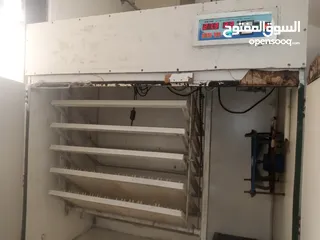  2 فقاسة للبيع بسعر حرررق عين الباشا